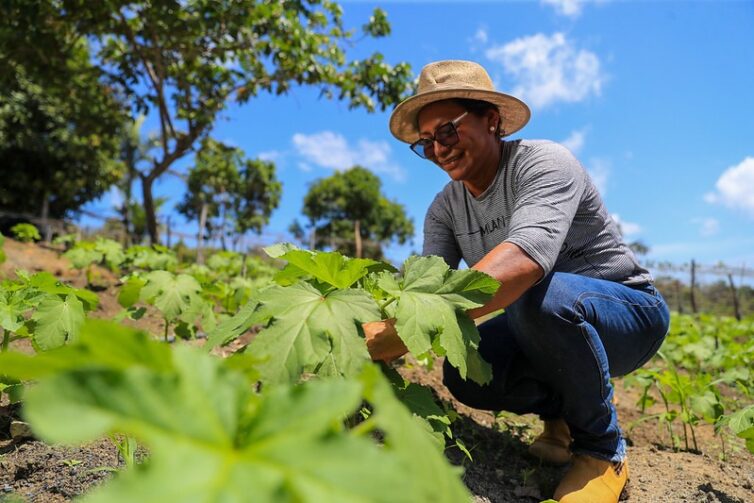 Expo Agro: Careiro recebe evento sobre desenvolvimento rural neste fim de semana