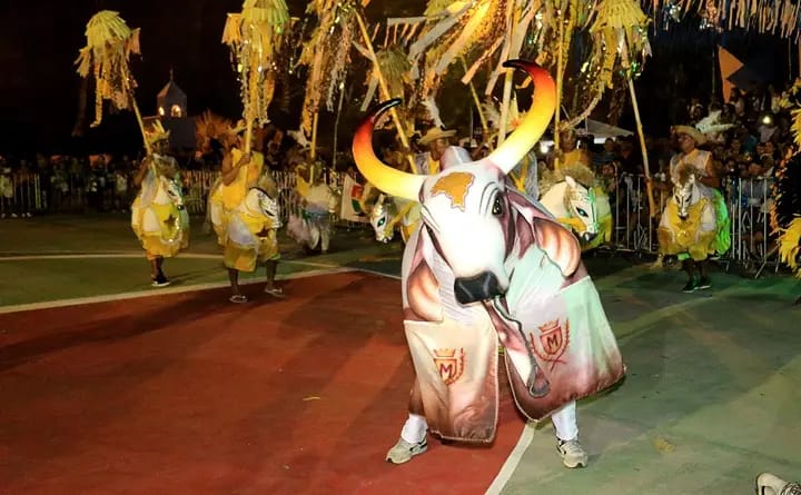 Festival Folclórico da Ilha de Vera Cruz: uma celebração da cultura amazônica em Maués