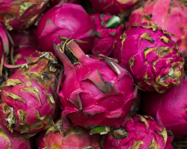 Cultivo de pitaya transforma a vida dos agricultores de Rio Preto da Eva; veja histórias