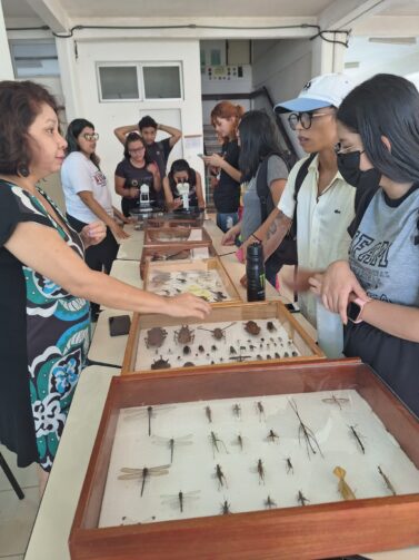 Terceira 'Semana de Agronomia' acontece em outubro, no Instituto de Ciência Exatas e Tecnologia, em Itacoatiara