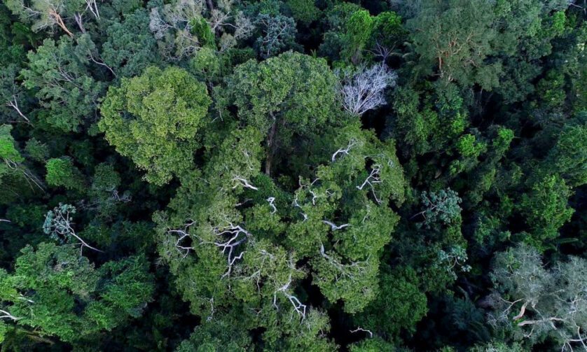 Série em audiovisual resgata lições milenares de respeito à natureza; produção acompanha equipe de arqueólogos, em Rondônia