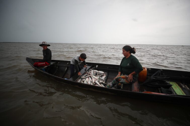 Instituto orienta pescadores sobre o início do período de defeso de dez peixes no AM