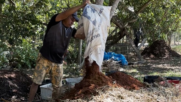 Idam destaca benefícios e recomenda compostagem para Agricultura Familiar