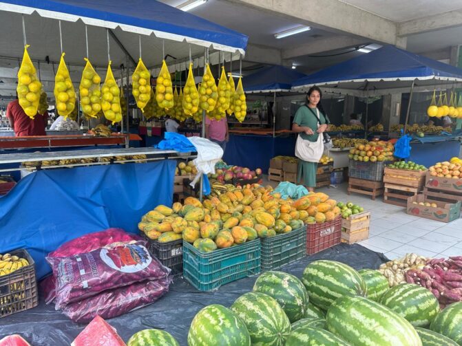 Ações voltadas para produtores rurais serão realizadas na ExpoManacá, em Manacapuru