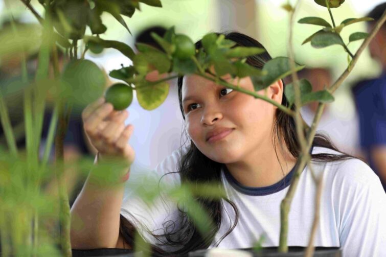 Programa Onda Verde está com inscrições abertas para professoras e alunas; há vagas para Careiro