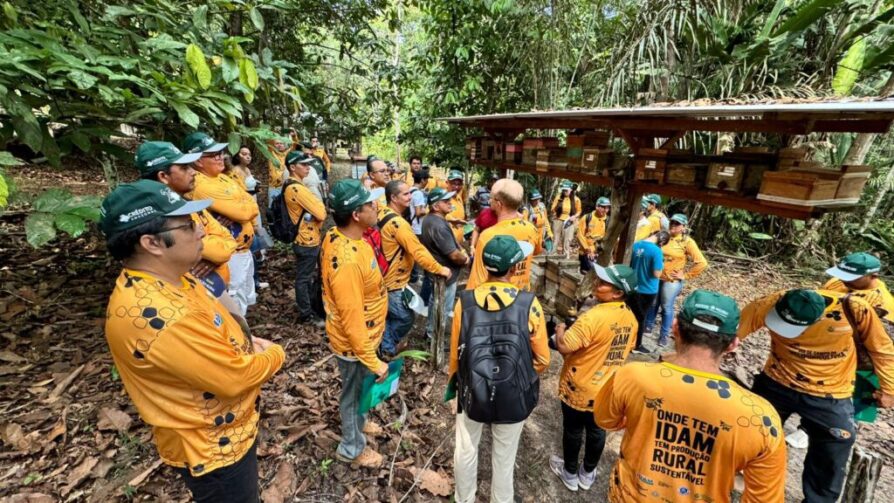 Mais de 150 meliponicultores são capacitados, em Figueiredo; ação difunde boas práticas na criação de abelhas sem ferrão