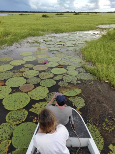 Pesquisa identifica cerca de 200 espécies de algas no Rio Uiacurapá, em Parintins