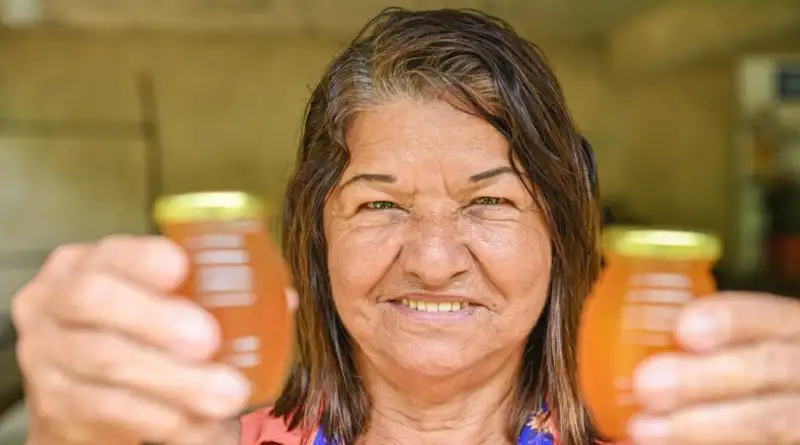 Acreana ganha destaque em concurso nacional por cultura de criação de abelhas sem ferrão