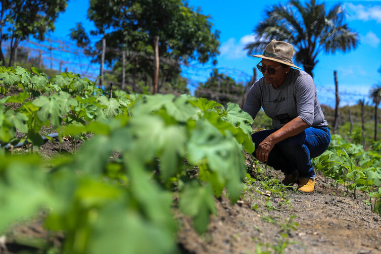 Em Manacapuru, produtores rurais são beneficiados com crédito de R$ 1,3 milhão