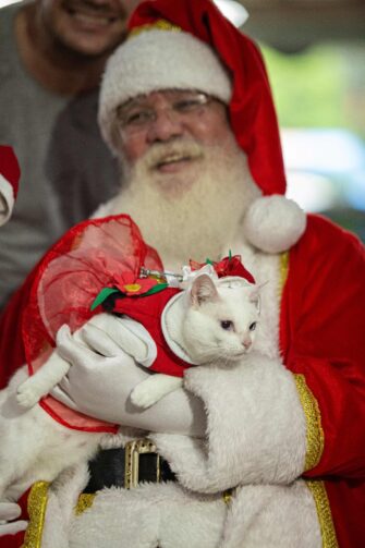 Super Nova Era promove NatAU Pet com diversas atividades neste sábado, 21 de dezembro