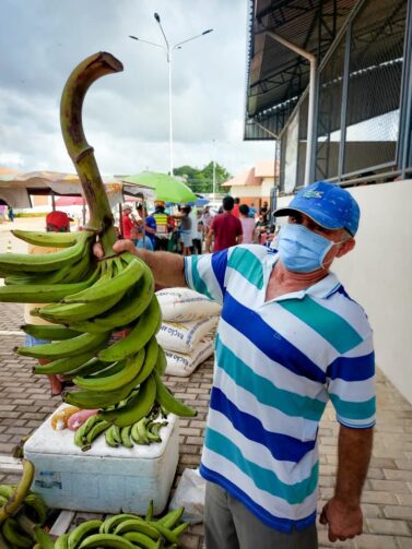 Agricultores afetados pela seca histórica em Manaquiri comentam sobre o impacto na produção em 2024