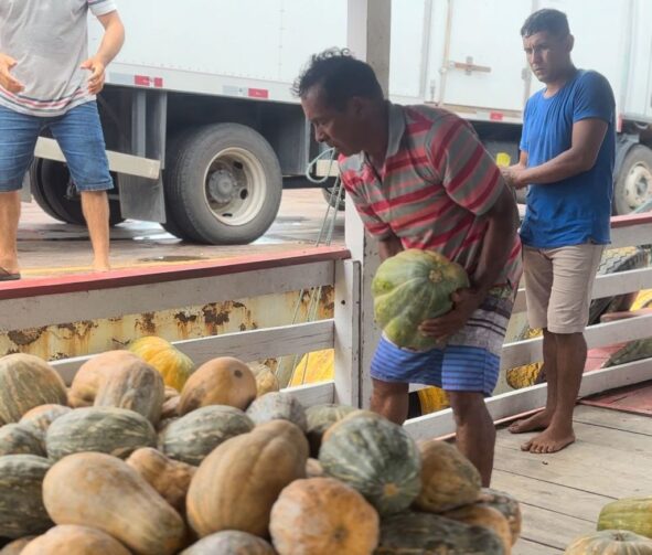 Balcão de Agronegócios facilita escoamento de 9 toneladas de jerimum e 6 toneladas de macaxeira em Manaquiri e Manacapuru