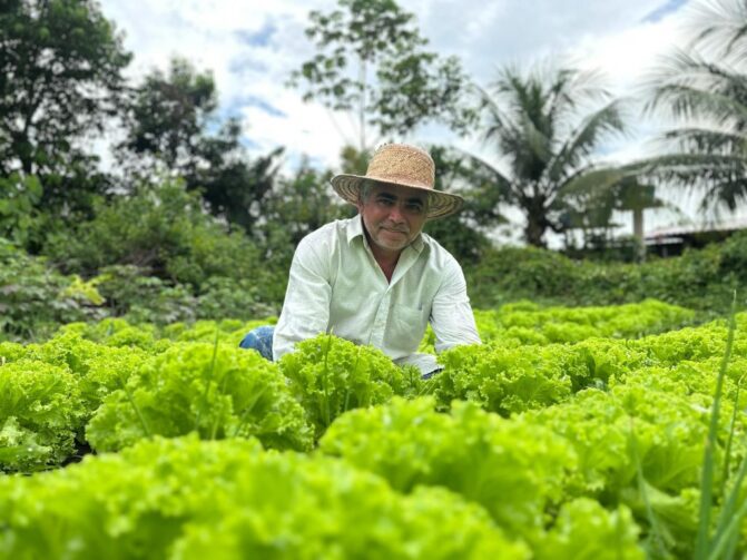 Programa de Regionalização da Merenda Escola amplia participação de agricultores em 42 municípios