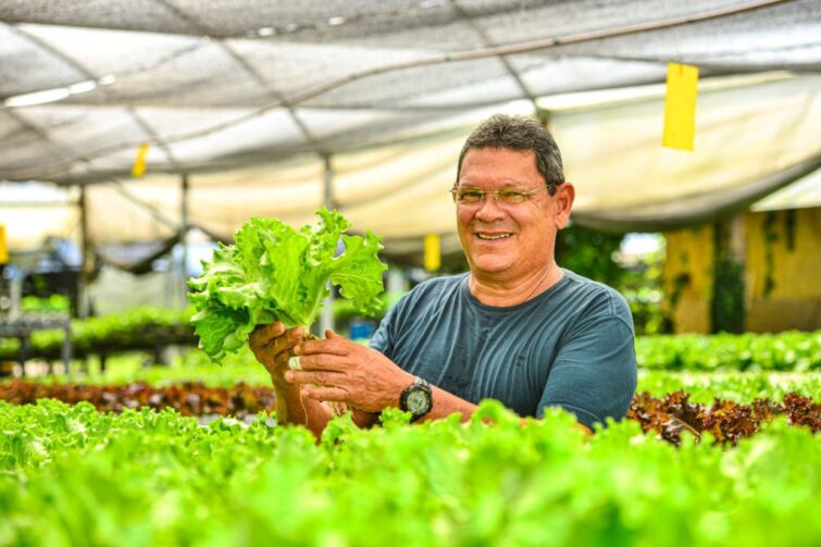 Agricultores e produtores rurais podem ter acesso o ‘Mais Crédito Amazonas'; veja como obter financiamento