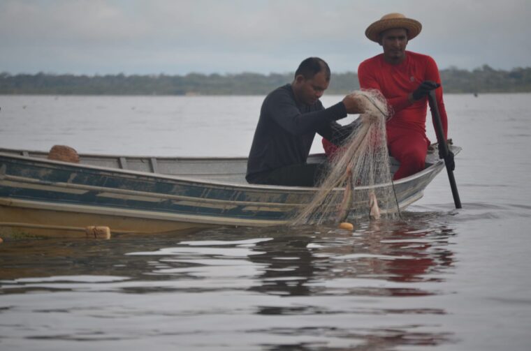 Pesca do Mapará: tradição, sustentabilidade e renda no Lago Grande do Janauacá em Manaquiri