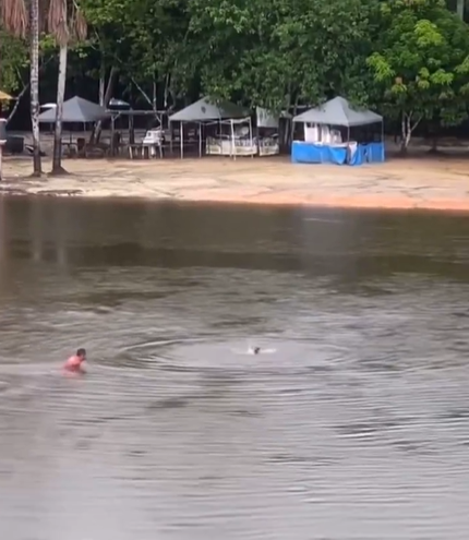 Guarda-vidas salva cachorro caramelo de afogamento em balneário de Rio Preto da Eva