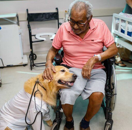 Cães terapeutas levam alegria e contribuem para a recuperação de pacientes em Manaus