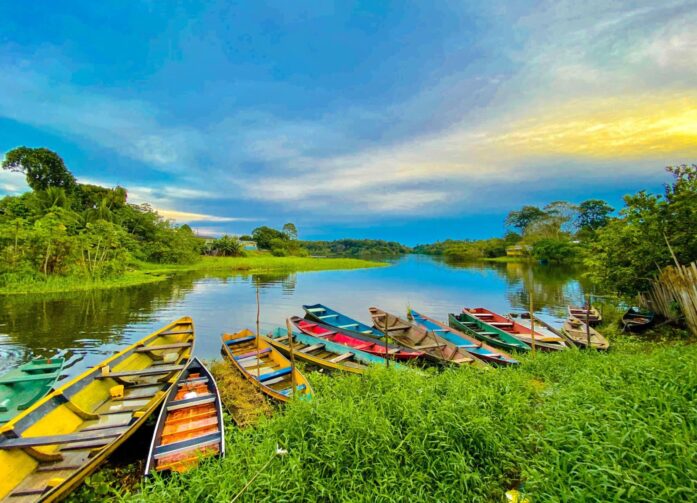 Dia Internacional da Biodiversidade: conheça a riqueza natural de Manaquiri