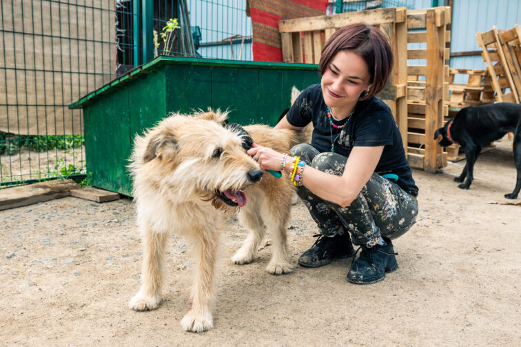 Projeto oferece atendimento gratuito para pets no bairro Coroado