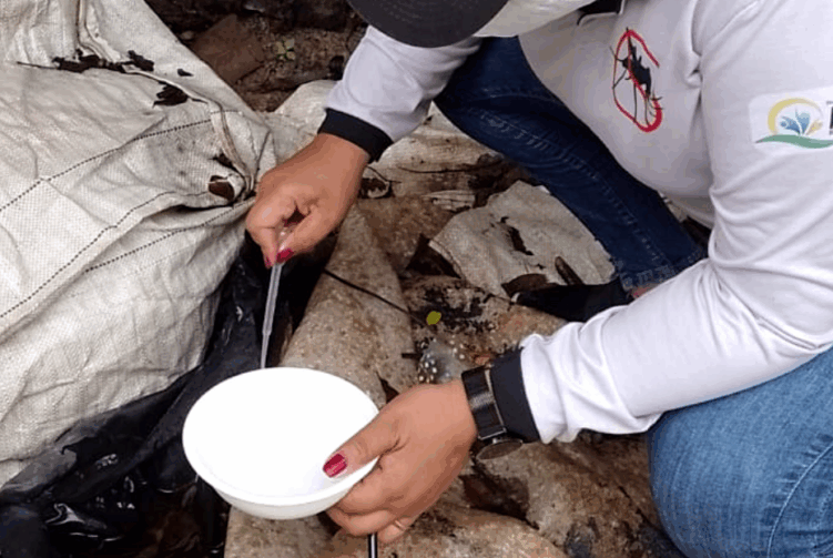 Roraima entra em alerta máximo para infestação da dengue e risco de epidemia
