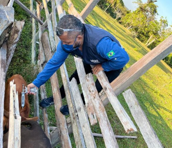 Vacinação contra raiva dos herbívoros é prorrogada até 30 de setembro