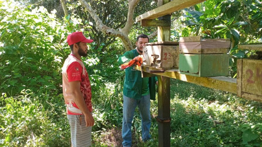 Florada de abelhas: manejo técnico para meliponicultores é realizado em Parintins