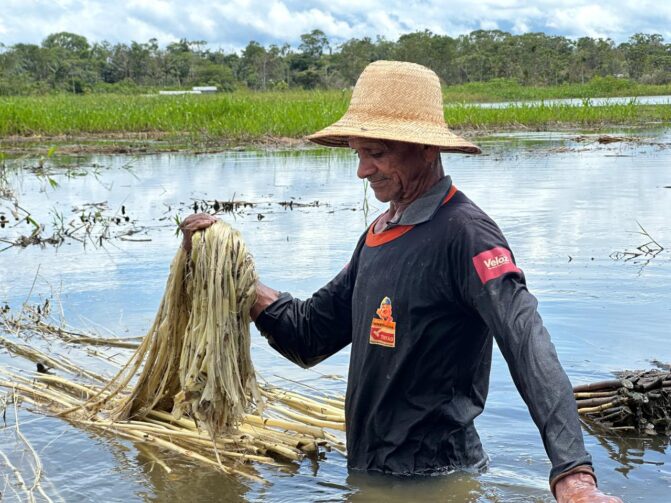 ADS prorroga prazo para envio de documentos para credenciamento de Juta e Malva, no Amazonas
