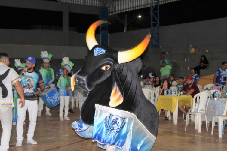 Boi Bumbá Brilhante Negro se prepara para manter o título e agitar a arena no Festival Folclórico de Autazes