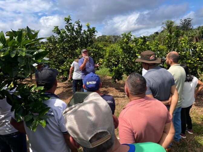 Em Iranduba, Idam divulga boas práticas sobre a citricultura para agricultores familiares