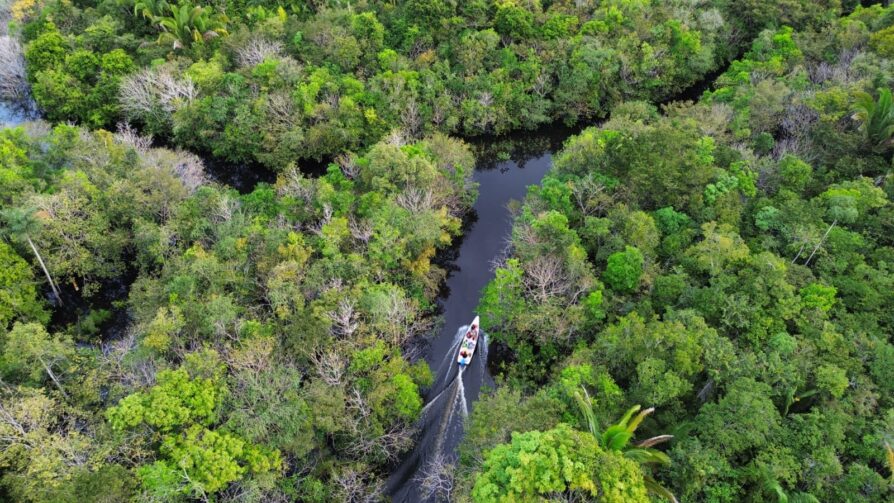 Imersão Amazônica em Manaquiri oferece experiência única
