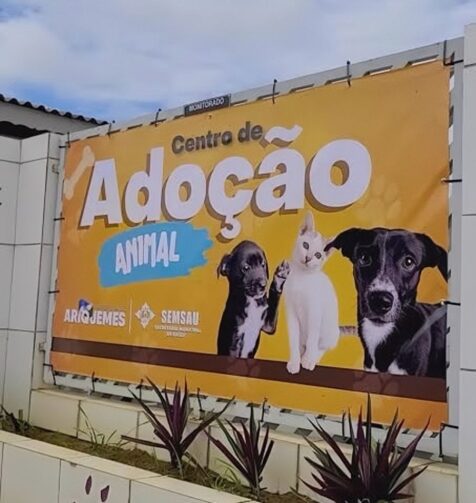 Arraiá da adoção promove cuidado e carinho com os animais em Ariquemes