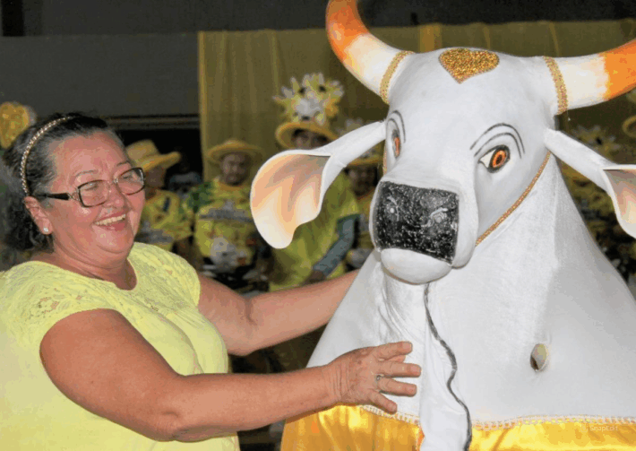 Garrote Douradinho: o boi mirim que mantém viva a cultura de Autazes