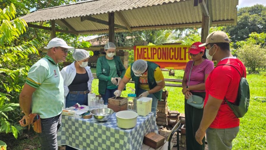 Parintins apresenta resultado do incentivo à produção de mel de abelha sem ferrão