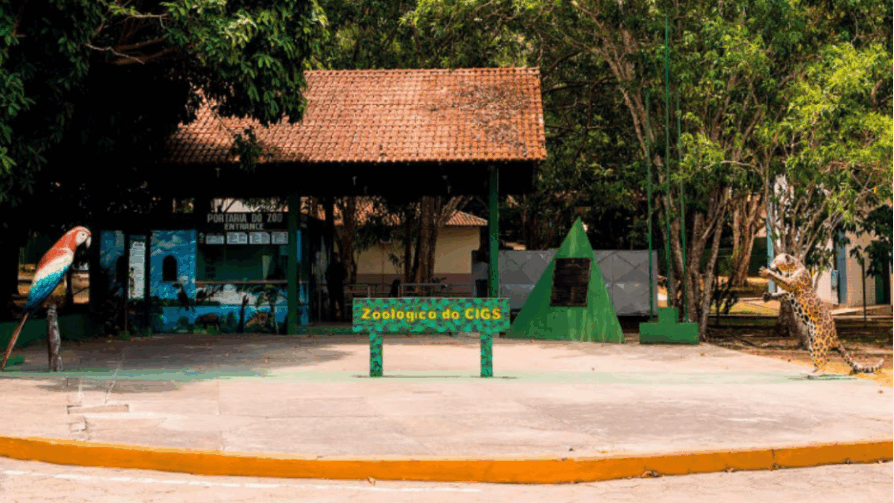 Zoológico do Cigs tem entrada gratuita neste domingo, 24 de agosto