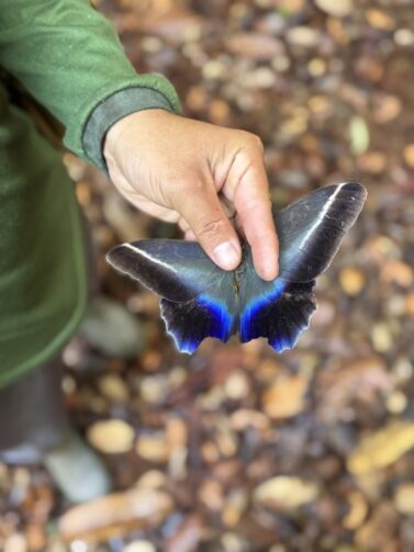 Amazonas realiza monitoramento da biodiversidade em Unidades de Conservação