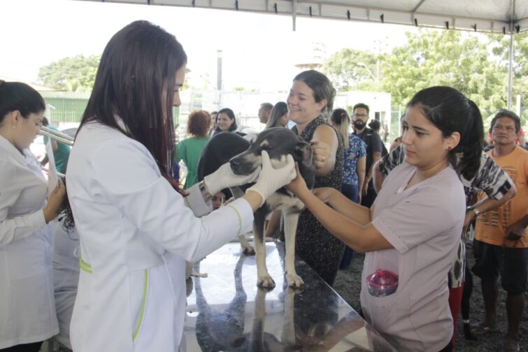 Mutirão de castração gratuita para cães e gatos será realizado em Presidente Figueiredo