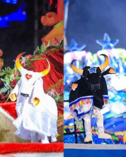 Festival dos Bois-Bumbás em Miniatura é reconhecido como Patrimônio Cultural do Brasil