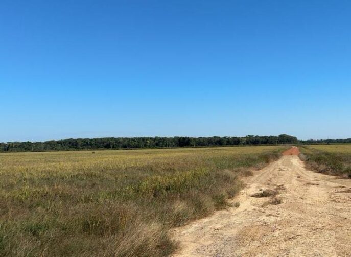 Amazonas alerta agricultores sobre o encerramento do Vazio Sanitário da Soja