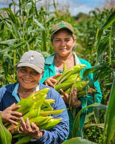 Eventos de microcrédito e bioeconomia movimentam Manaquiri em outubro