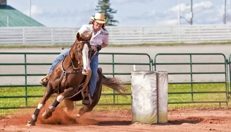 Prova de três tambores faz parte da programação de aniversário de Cruzeiro do Sul; saiba como se inscrever