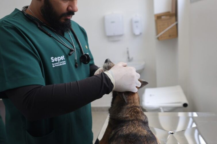 Hospital Público Veterinário do Amazonas inicia atendimentos em Manaus; saiba como funciona
