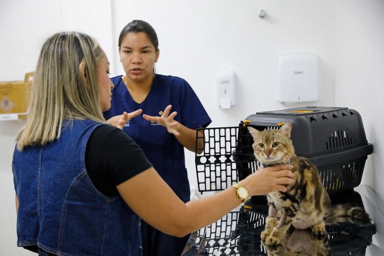 Hospital Público Veterinário do Amazonas segue com atendimentos gratuitos no Parque Dez