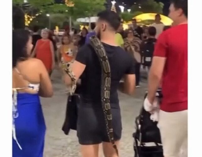 Veterinário passeia com jiboia pela Ponta Negra e chama atenção de frequentadores; conheça a história