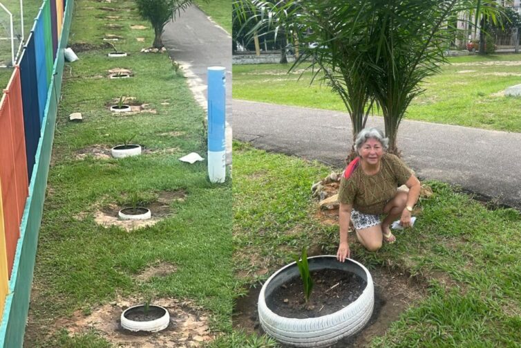 Casal de aposentados planta quase 100 árvores no CSU do Parque Dez