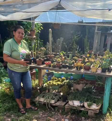 Irlanda da Cunha é especialista em cactos, em Itacoatiara; conheça