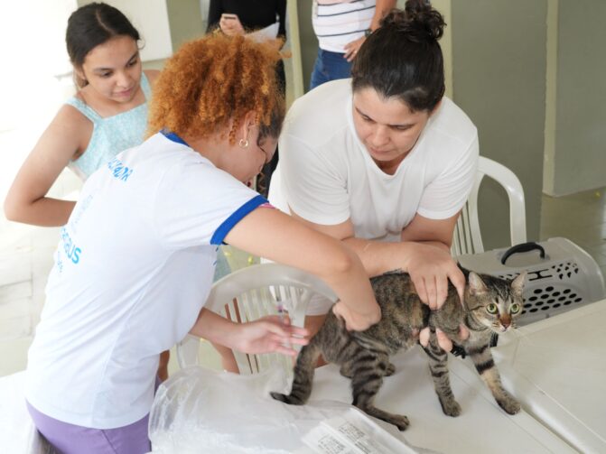 Campanha oferta vacinação de cães e gatos contra raiva em 52 pontos fixos