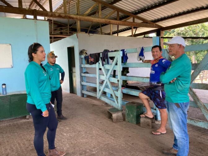 Parintins apoia produção de queijos bubalinos com mecanização