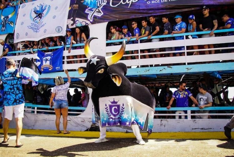 ‘Caravana Azulada’ organiza viagem para lançamento do álbum Caprichoso 2026