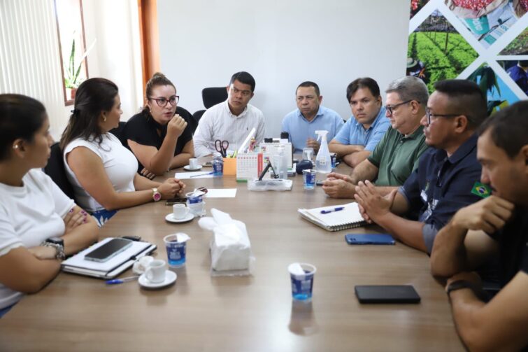 Órgãos debatem estratégias de enfrentamento à mosca-da-carambola em municípios