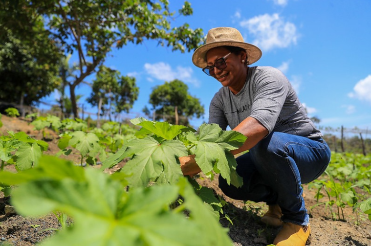 Projeto de capacitação em agricultura familiar é levado a produtores rurais de Iranduba e Rio Preto da Eva